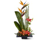 Paradise Found in Centralia�IL, Ross Flower Shop