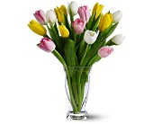 15 Mixed Tulips in Centralia IL, Ross Flower Shop