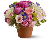 Spring Sonata in Centralia�IL, Ross Flower Shop