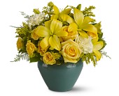 Sunburst Blooms in Centralia�IL, Ross Flower Shop