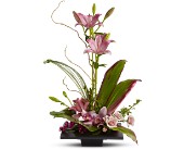 Imagination Blooms in Centralia�IL, Ross Flower Shop