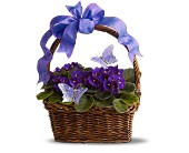 Violets and Butterflies in Centralia�IL, Ross Flower Shop