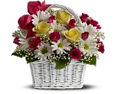 Daisy Dreams Basket in Centralia�IL, Ross Flower Shop