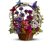 Dancing Butterflies in Centralia�IL, Ross Flower Shop