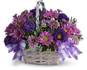 Daisy Day Dreams in Centralia�IL, Ross Flower Shop