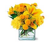 Sunshine Thoughts in Centralia�IL, Ross Flower Shop