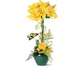 Lily Topiary in Centralia�IL, Ross Flower Shop