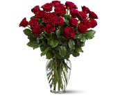 Two Dozen Red Roses in Centralia�IL, Ross Flower Shop