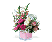 Teleflora's Baby Block (Girl) in Centralia�IL, Ross Flower Shop