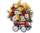 Teleflora's Baby's First Wagon - Boy in Centralia�IL, Ross Flower Shop