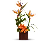 Teleflora's Bamboo Paradise in Centralia�IL, Ross Flower Shop