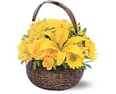 Yellow Flower Basket in Centralia�IL, Ross Flower Shop