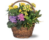 Petite European Basket in Centralia�IL, Ross Flower Shop