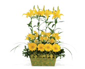 Yellow Garden Rows in Centralia�IL, Ross Flower Shop