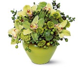 Shades of Green in Centralia�IL, Ross Flower Shop