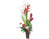 Tropical Beauty in Centralia�IL, Ross Flower Shop