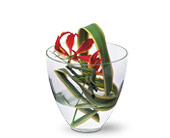 Gloriosa Under Glass in Centralia�IL, Ross Flower Shop