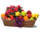 Plant and Fruit Basket in Centralia�IL, Ross Flower Shop