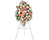 Gentle Thoughts Spray in Centralia�IL, Ross Flower Shop