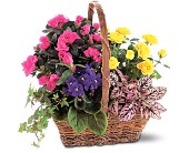 Blooming Garden Basket in Centralia�IL, Ross Flower Shop