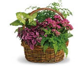 Secret Garden Basket in Centralia, Illinois, Ross Flower Shop