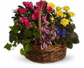 Blooming Garden Basket in Centralia, Illinois, Ross Flower Shop