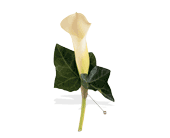 Miniature Calla Boutonniere in Centralia�IL, Ross Flower Shop