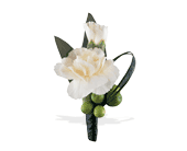 Carnation and Berries Boutonniere in Centralia�IL, Ross Flower Shop