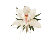 Cymbidium Orchid Corsage in Centralia�IL, Ross Flower Shop