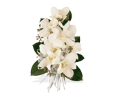White Dendrobium Corsage in Centralia�IL, Ross Flower Shop