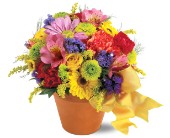 Teleflora's Fresh Blossom Potpourri in Centralia�IL, Ross Flower Shop