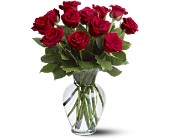 12 Red Roses in Centralia�IL, Ross Flower Shop