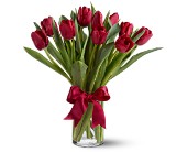 Teleflora's Radiantly Red Tulips in Centralia IL, Ross Flower Shop