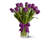 Teleflora's Passionate Purple Tulips in Centralia IL, Ross Flower Shop