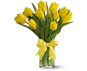 Teleflora's Sunny Yellow Tulips in Centralia IL, Ross Flower Shop