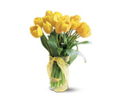 Spring Tulips Deluxe - Yellow in Centralia IL, Ross Flower Shop